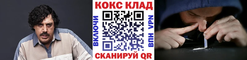 Купить где  Ершов  Cocaine 99% 
