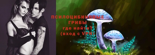 spice Каменногорск