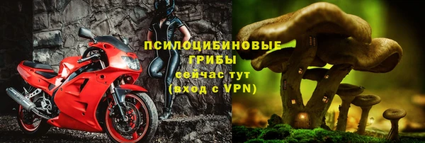 винт Касимов
