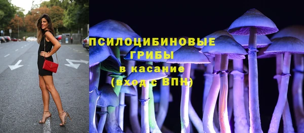mix Карпинск