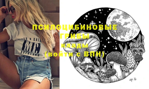 винт Касимов