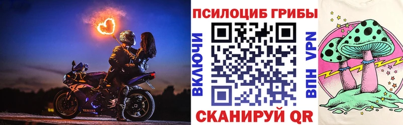 Купить закладки  Ершов  Галлюциногенные грибы прущие грибы 
