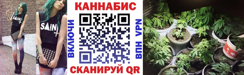 Купить закладки  Ершов  Марихуана планчик 